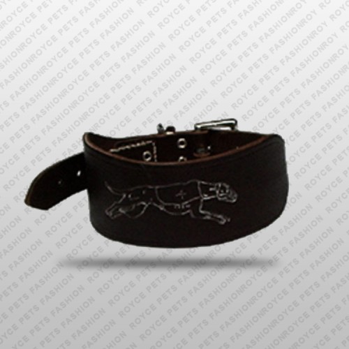 Dog Collar